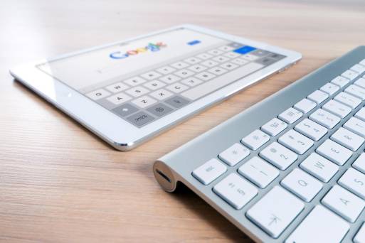 seo eintagsfliege