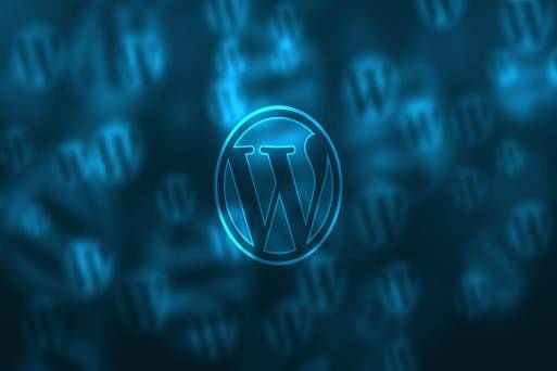 wordpress attraktives cms
